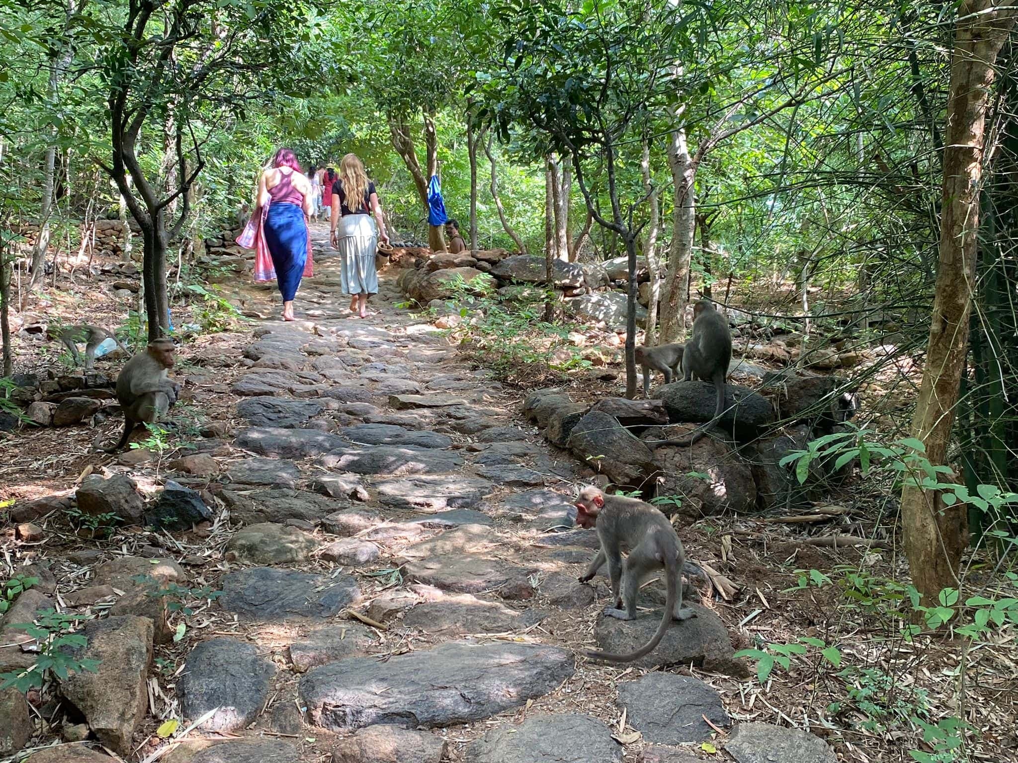Temple tank at Tiruvannamalai