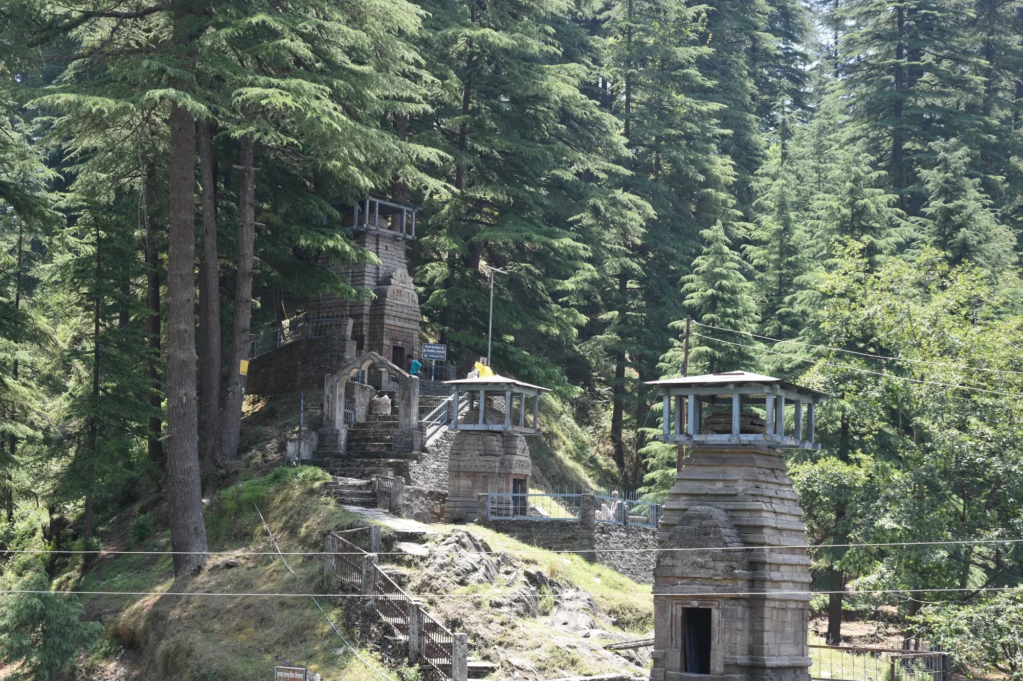 Stone temples standing among deodar cedars