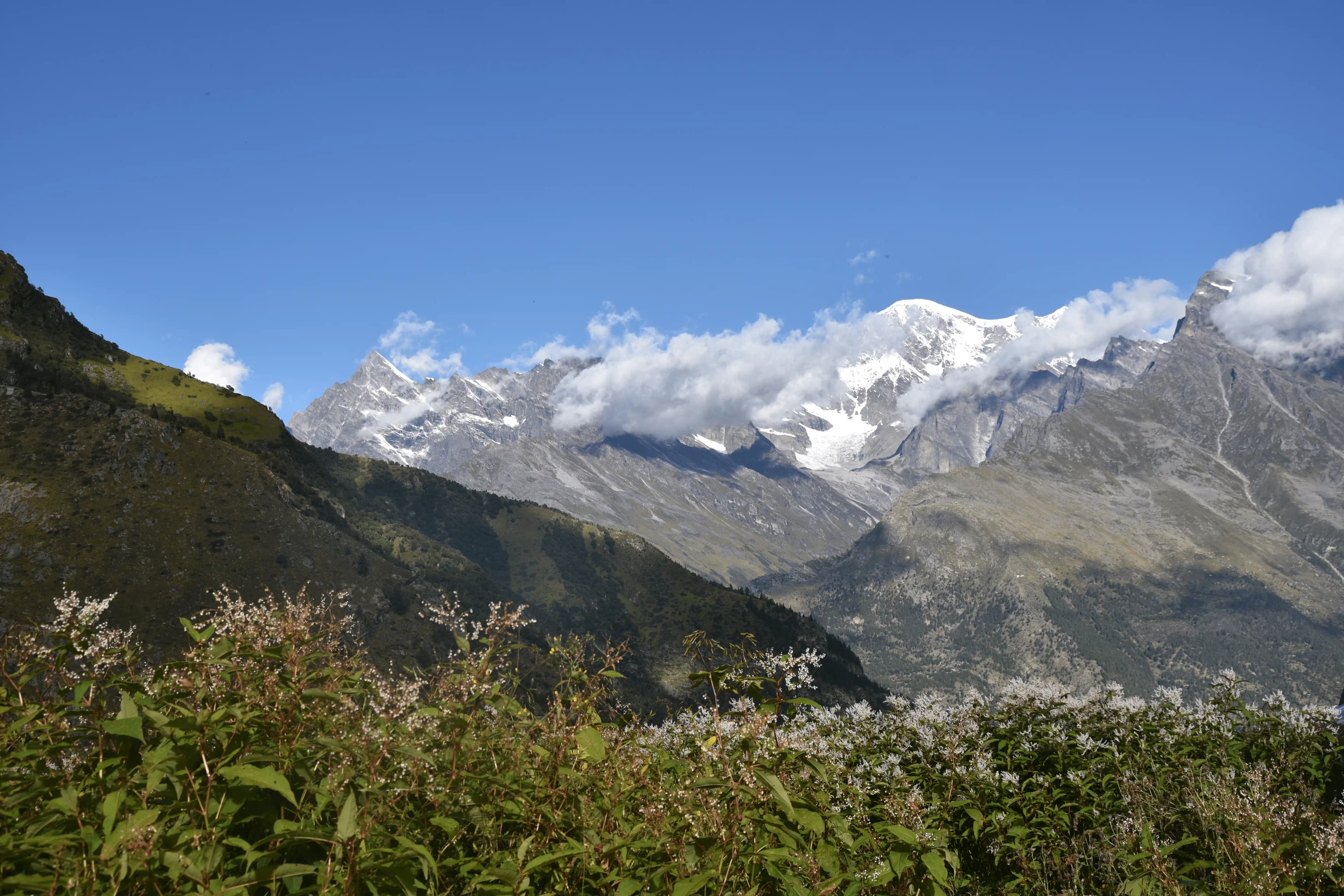 Bagini Glacier and Himalayan peaks